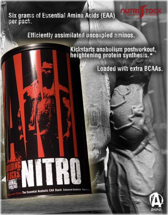 Animal Nitro 30 packs Universal banner